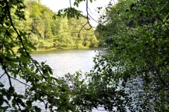 b4_steigerweiher