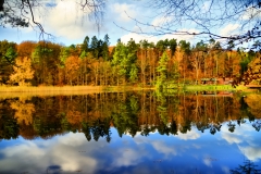 Retzbergweiher im Herbst