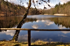 Retzbergweiher