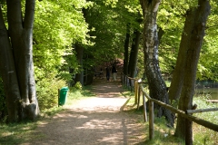 weiher2