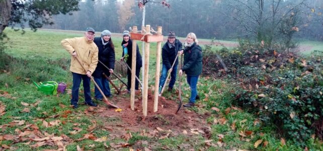 Klimabaum für Sippersfeld